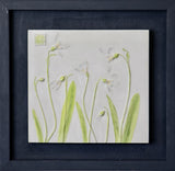 'Framed Hand Painted Snow Drop Cast' by Botanical Art By Diane