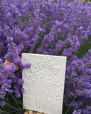 'Lavender Mini Botanical Cast' by Botanical Art by Diane De Roo