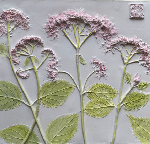 'Hand Painted Hydrangea Botanical Cast' by Botanical Art by Diane De Roo