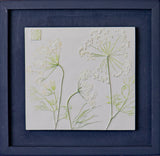 'Framed Hand Painted Queen Anne's Lace Botanical Cast' by Botanical Art By Diane