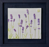 'Framed Hand Painted Lavender Cast' By Botanical Art By Diane