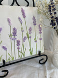 'Hand Painted Lavender Square Botanical Cast' by Botanical Art by Diane De Roo