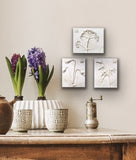 'Hydrangea Mini Botanical Cast' by Botanical Art by Diane De Roo