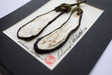 'Eggplant Vegetable Shadow Box' by Botanical Art by Diane De Roo