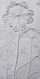 'Queen Anne's Lace Large Botanical Cast' by Botanical Art by Diane De Roo