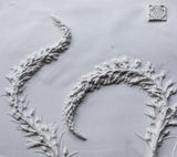 'Lysimachia Large Botanical Cast' by Botanical Art by Diane De Roo