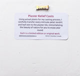 'Queen Anne’s Lace Mini Botanical Cast' by Botanical Art by Diane De Roo