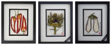 'Eggplant Vegetable Shadow Box' by Botanical Art by Diane De Roo