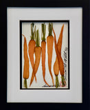 'Carrots Vegetable Shadow Box' by Botanical Art by Diane De Roo