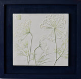 'Framed Hand Painted Queen Anne's Lace Botanical Cast' by Botanical Art By Diane