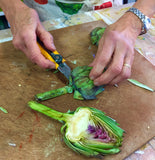 'Artichoke Heart Vegetable Shadow Box' by Botanical Art by Diane De Roo