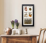 5 Windows, Option Two by Botanical Art by Diane De Roo