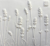 'Framed Botanical Trio - Cottage White' by Botanical Art by Diane De Roo