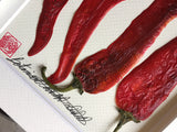 'Chilli Peppers Vegetable Shadow Box' by Botanical Art by Diane De Roo