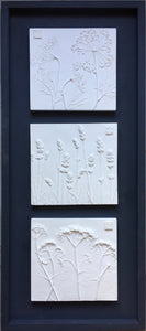 'Framed Botanical Trio - Dark Grey' by Botanical Art by Diane De Roo