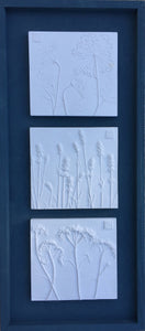 'Framed Botanical Trio - Slate Blue'  by Botanical Art by Diane De Roo