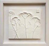 'Framed Botanical Casts - Cottage White'  by Botanical Art by Diane De Roo