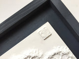 'Framed Botanical Cast - Dark Grey' by Botanical Art by Diane De Roo