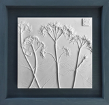 'Hydrangea Square Botanical Cast' by Botanical Art by Diane De Roo