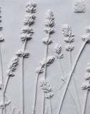 'Lavender Large Botanical Cast' by Botanical Art by Diane De Roo