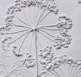 'Queen Anne's Lace Large Botanical Cast' by Botanical Art by Diane De Roo