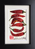 'Mini Thai Chilli Pepper' by Botanical Art by Diane De Roo