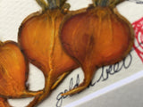 'Mini Gold Beet Frame' by Botanical Art by Diane De Roo