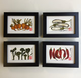 'Mini Gold Beet Frame' by Botanical Art by Diane De Roo