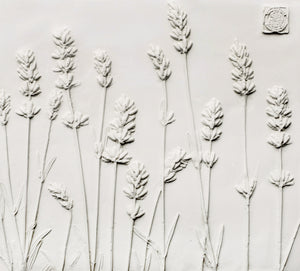 'Lavender Square Botanical Cast' by Botanical Art by Diane De Roo