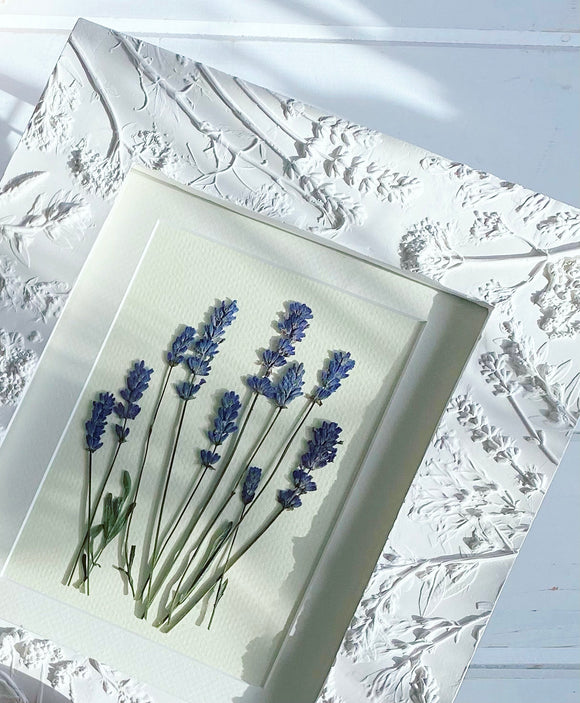 'Plaster Relief Frame with Pressed Lavender' By Botanical Art By Diane De Roo