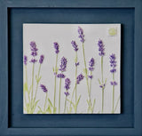 'Framed Hand Painted Lavender Cast' By Botanical Art By Diane