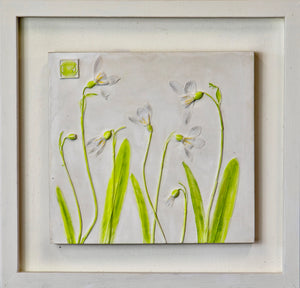 'Framed Hand Painted Snow Drop Cast' by Botanical Art By Diane