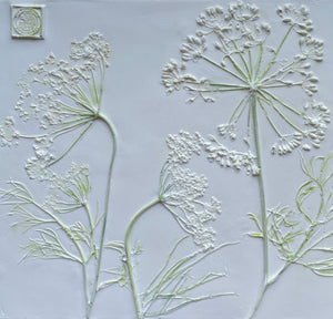 'Hand Painted Queen Anne's Lace Botanical Cast' by Botanical Art by Diane De Roo