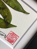 'Snap Peas Mini Frame" by Botanical Art By Diane De Roo