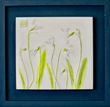 'Framed Hand Painted Snow Drop Cast' by Botanical Art By Diane