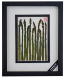 'Asparagus Vegetable Shadow Box' by Botanical Art by Diane De Roo