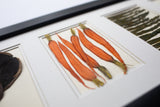 'Large Horizontal Collection' by Botanical Art by Diane De Roo