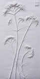 'Hydrangea Large Botanical Cast' by Botanical Art by Diane De Roo