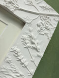 'Plaster Relief Frame with pressed Queen Anne's Lace' by Botanical Art By Diane
