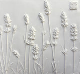 'Framed Botanical Cast - Slate Blue' by Botanical Art by Diane De Roo