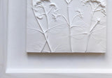 'Framed Botanical Trio - Cottage White' by Botanical Art by Diane De Roo