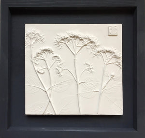 'Framed Botanical Cast - Dark Grey' by Botanical Art by Diane De Roo
