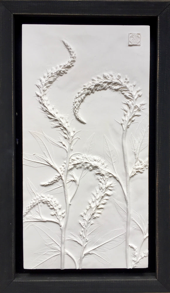 'Lysimachia Framed Botanical Cast