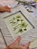 'Plaster Relief Frame with pressed Queen Anne's Lace' by Botanical Art By Diane