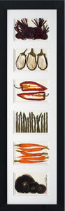 'Large Vertical Collection' by Botanical Art by Diane De Roo