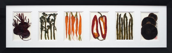 'Large Horizontal Collection' by Botanical Art by Diane De Roo