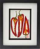 'Pepper Vegetable Shadow Box' by Botanical Art by Diane De Roo