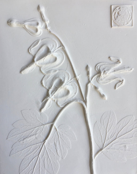'Bleeding Heart Mini Botanical Cast' by Botanical Art by Diane De Roo