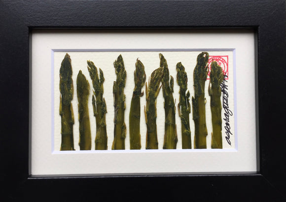 'Mini Asparagus Vegetable Frame' by Botanical Art by Diane De Roo