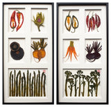 5 Windows, Option Two by Botanical Art by Diane De Roo